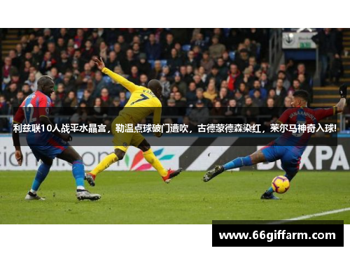 利兹联10人战平水晶宫，勒温点球破门遭吹，古德蒙德森染红，莱尔马神奇入球!