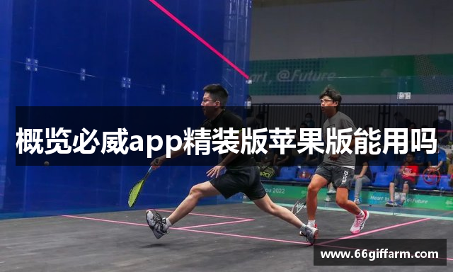 概览必威app精装版苹果版能用吗